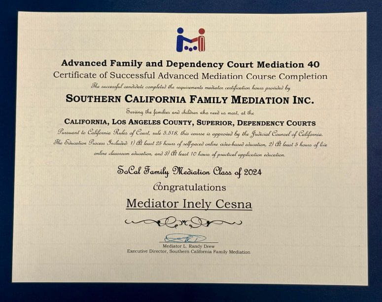 ADVANCED FAMILY AND DEPENDENCY COURT MEDIATION CERTIFICATE